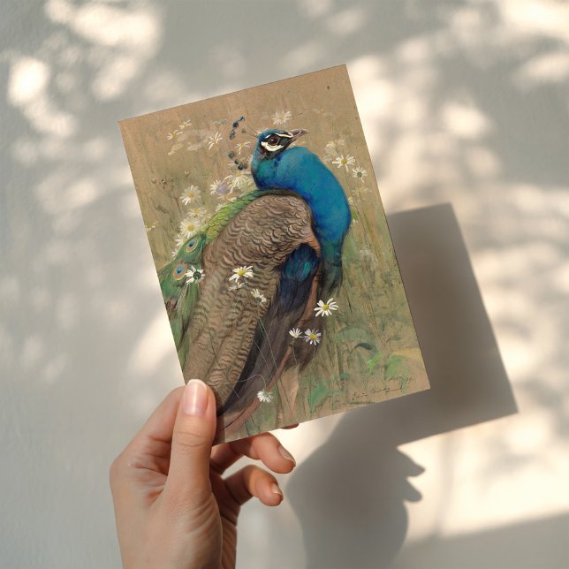 A Peacock and Marguerites | Edwin John Alexander Card (Creator Uploaded)