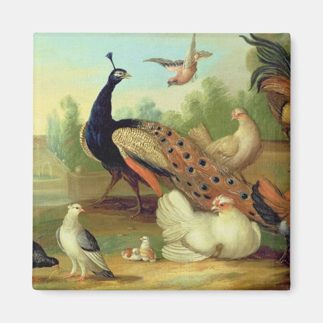 A Peacock, Doves, Chickens and a Jay in a Park Magnet (Front)