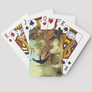 A Peacock, Doves, Chickens and a Jay in a Park Playing Cards