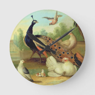 A Peacock, Doves, Chickens and a Jay in a Park Round Clock