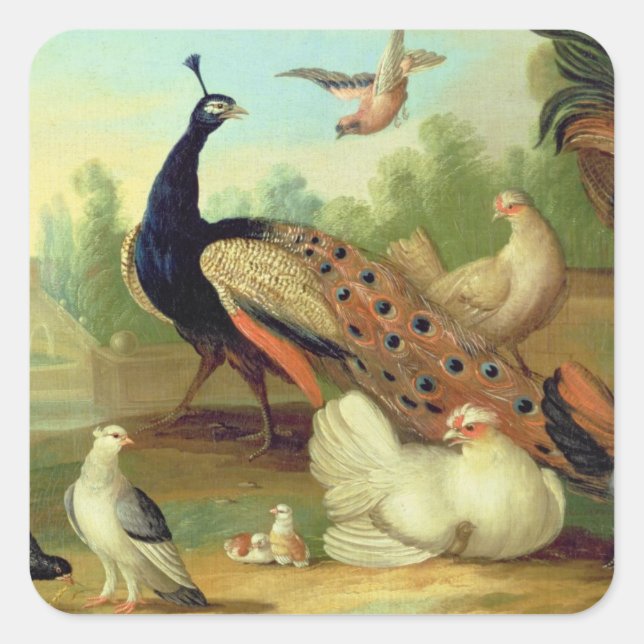A Peacock, Doves, Chickens and a Jay in a Park Square Sticker (Front)