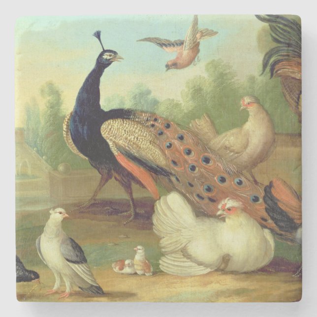 A Peacock, Doves, Chickens and a Jay in a Park Stone Coaster (Front)