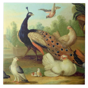 A Peacock, Doves, Chickens and a Jay in a Park Tile