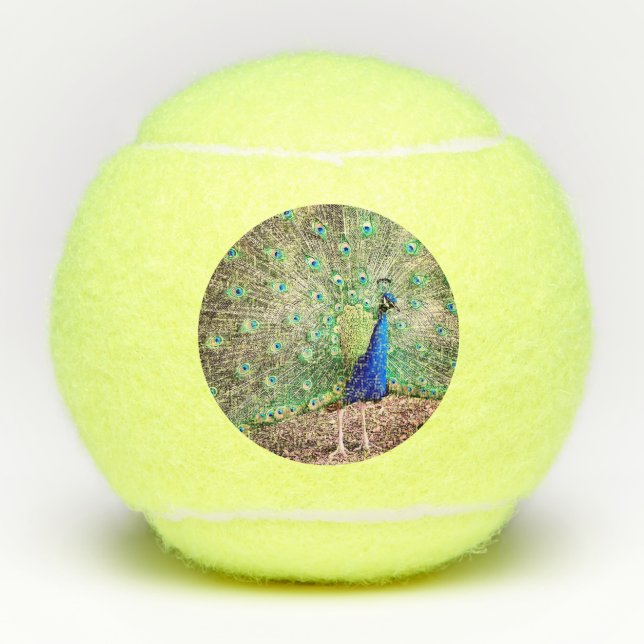 A Peacock Tennis Balls (Front)