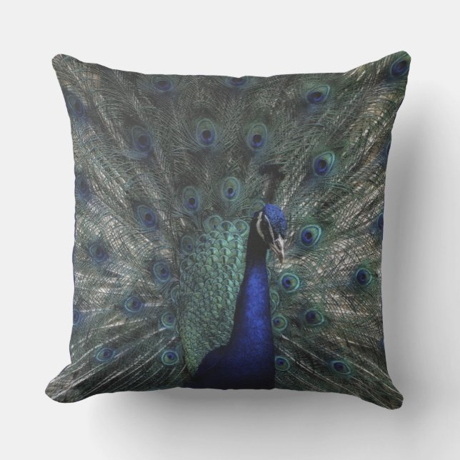 A Peacocks Beautiful Opened Feathers  Cushion (Front)
