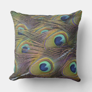 A Peacocks Beautiful Opened Feathers Cushion