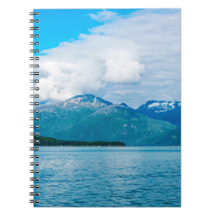 A peninsula of land covered in pine forest juts ou notebook