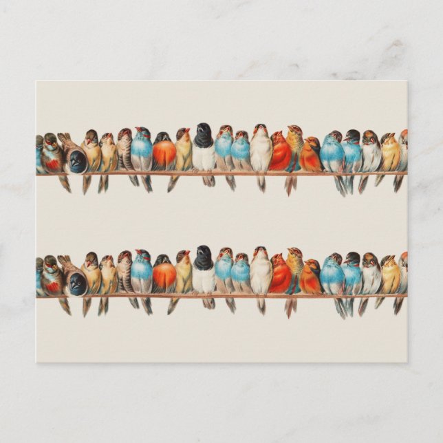 A Perch of Birds by Hector Giacomelli Postcard (Front)