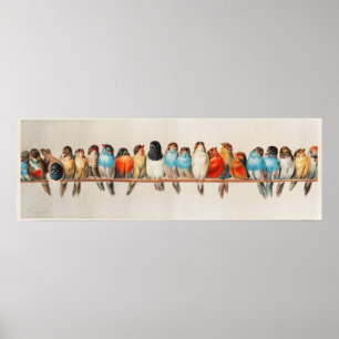 A Perch of Birds vintage illustration wall art