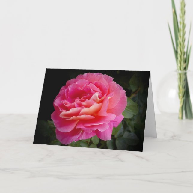 A Perfect Pink Rose, Blank Greeting Card (Front)