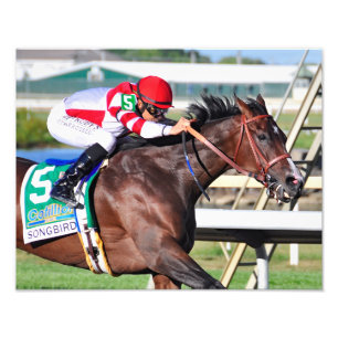 A Perfect Song Photo Print