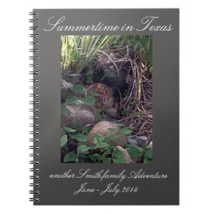 A Personalised Memory Journal