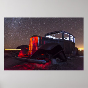 A Petrified Forest Relic Poster