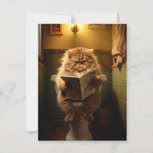 A Philosopher's Sanctuary   The Daily Digest Postcard