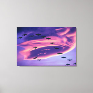 A photo composite of Sandhill cranes in flight Canvas Print