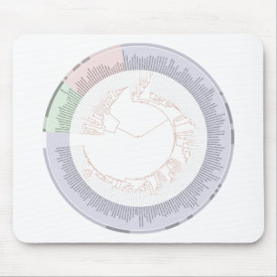 A phylogenetic tree of life Chart Mouse Pad