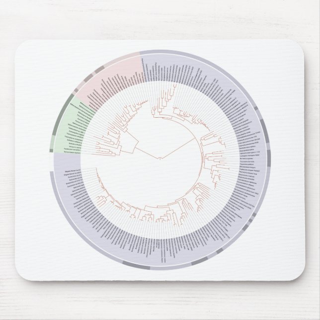 A phylogenetic tree of life Chart Mouse Pad (Front)