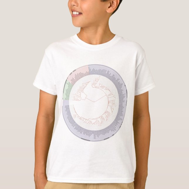 A phylogenetic tree of life Chart T-Shirt (Front)