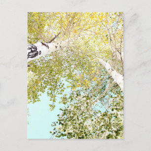 A piece of the sky postcard
