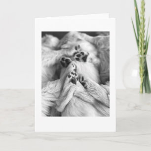 A Pile of Puppy Paws Blank Card