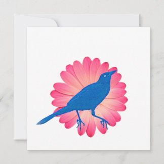 A pink flower and a bird holiday card