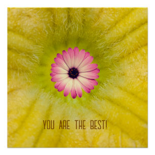A pink flower poster