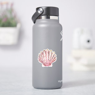A pink invertebrate seashell 