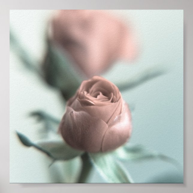 A Pink Rose for your Sweetheart... Poster (Front)