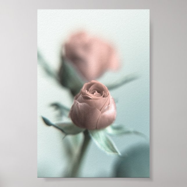 A Pink Rose for your Sweetheart... Poster (Front)