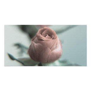 A Pink Rose for your Sweetheart... Poster