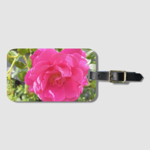 A Pink Rose Luggage Tag