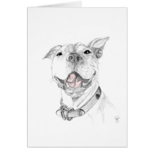 A Pit Bull Smile