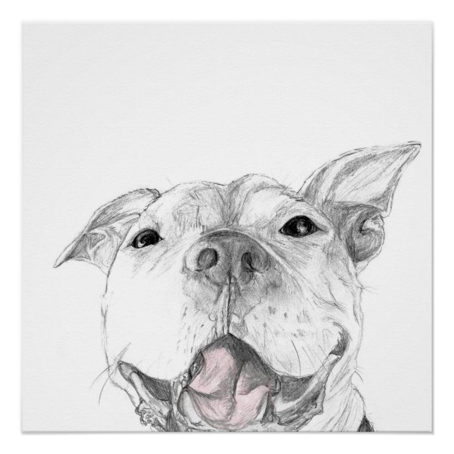 A Pit Bull Smile Poster (Front)