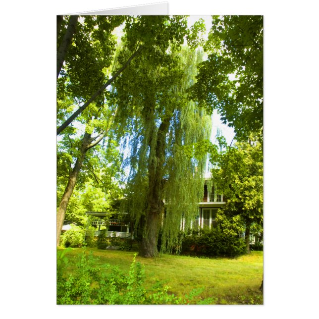 A Place Beyond  - Mystery Almost in Sight (Front)