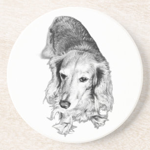 A Place to Pause – Long-Haired Dachshund Coaster