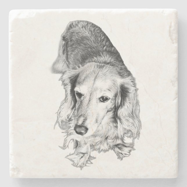 A Place to Pause – Long-Haired Dachshund Stone Coaster (Front)