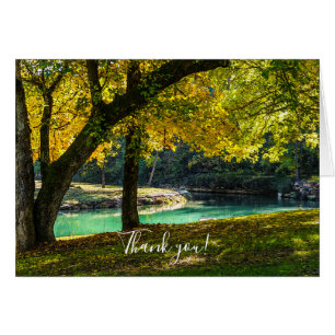 A Place Under The Shade Tree Thank You Card