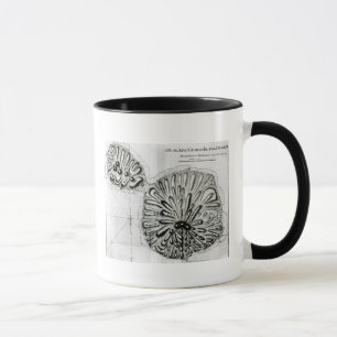 A Plan of King Georges Island or Otheite, 1769 Mug