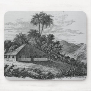 A Planter's House in Brazil Mouse Pad