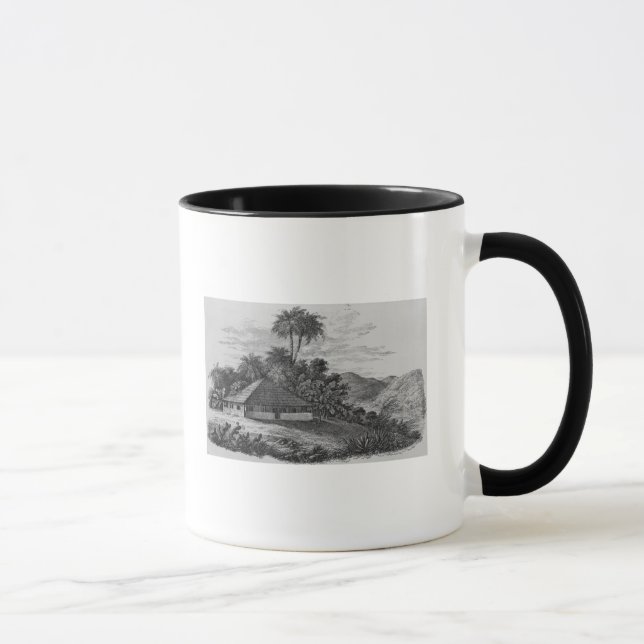 A Planter's House in Brazil Mug (Right)