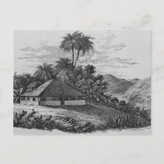 A Planter's House in Brazil Postcard (Front)
