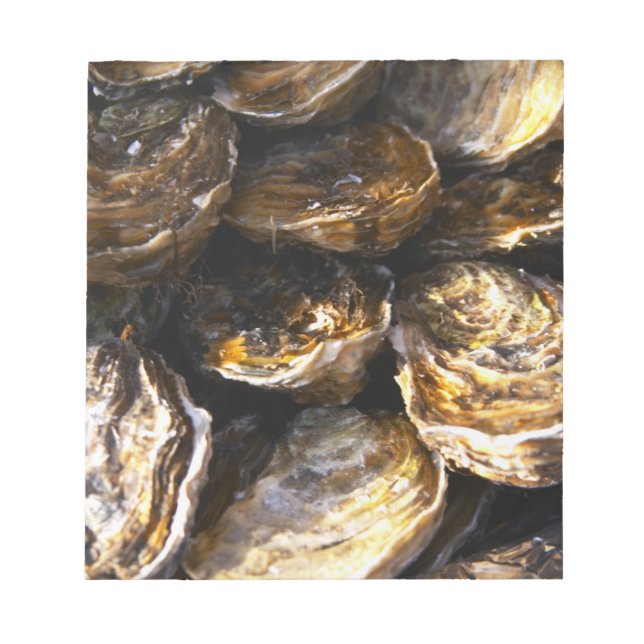 A plate of oysters. notepad (Front)