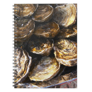 A plate of oysters. spiral notebook