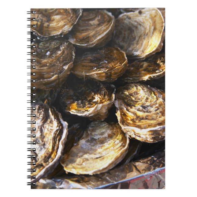 A plate of oysters. spiral notebook (Front)