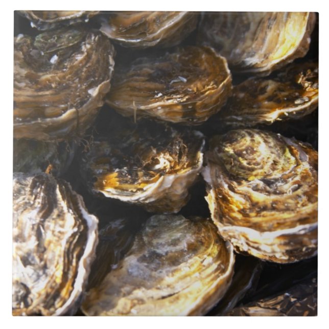 A plate of oysters. tile (Front)