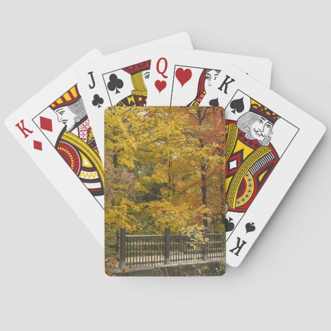 a playing cards (Back)
