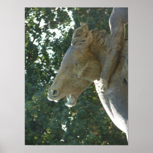 A Plaza Fountain Horse Poster