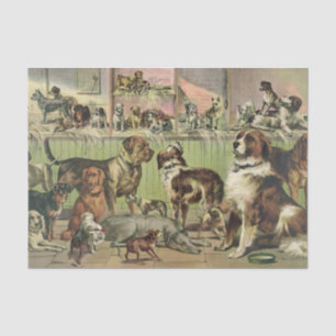 A Plethora of Dogs Tissue Paper