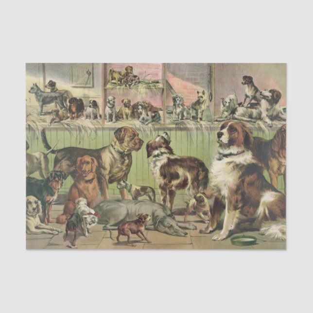 A Plethora of Dogs Tissue Paper (Front)