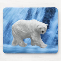 A polar Bear at the frozen waterfall